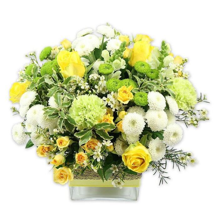 A stunning, dome-shaped floral composition glows with shades of sunny yellow, crisp white, and vivid green, arranged with the care and precision of a seasoned florist serving the village of Downe. Set in a sturdy, clear, rectangular glass vase, the bouquet is densely packed and luxuriously full, its rounded profile softening the clean lines of the glass beneath. At the centre of this cheerful display, velvety yellow roses command attention, their petals unfurling in spirals that range from fully opened, cup-like blooms to more modest buds. Around them, stems of yellow spray roses weave in and out, each bearing small clusters of blossoms that add lively rhythm and an almost conversational feel, as if each flower is chatting with its neighbour. White pompom chrysanthemums-compact, spherical, and densely petaled-sit between the yellows, providing soft, cloud-like cushions of texture and a cool contrast in tone. Bright lime green button chrysanthemums are tucked throughout the arrangement, their tidy, globe-shaped heads introducing playful pops of colour. Larger, paler green blooms, resembling frilled carnations or decorative green chrysanthemums, rise slightly higher, giving the bouquet height and a gently ruffled edge. A rich foundation of greenery supports and frames the design: broad variegated leaves with pale, creamy margins, glossy dark green foliage, and airy filler greens that extend just beyond the main dome, creating a natural, garden-inspired outline. Fine, starry white filler flowers thread delicately through the larger blooms, adding detail and a sense of lightness. The stems are clearly visible through the vase, immersed in clean water, reinforcing the impression of freshly gathered blooms from nearby Kent gardens and orchards around Downe. Around the midsection of the vase, a wide band of rustic, woven natural fibre wraps securely, overlaid with a coordinating ribbon in soft yellow or lime green. The result is a bouquet that feels at once joyful and composed, perfect for gracing a farmhouse table, local celebration, or thoughtful delivery anywhere in Downe.
